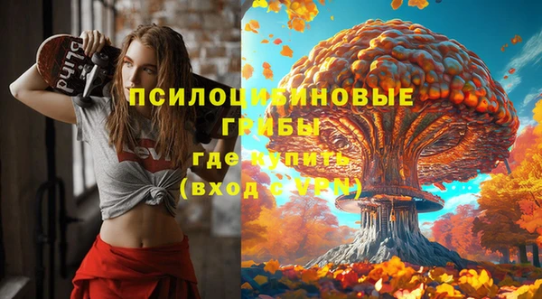 mix Богородицк